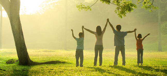 Droit de la famille